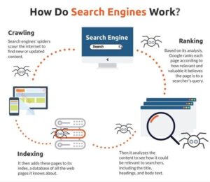 How Do Search Engines Work